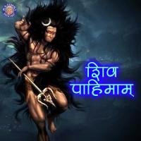 Shiva Panchakshar Stotra Rajalakshmee Sanjay Song Download Mp3