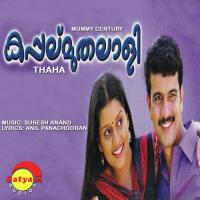 Rajappa Afsal,Rimi Tomy,Pradeep Babu Song Download Mp3