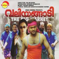 Neermizhi Biju Narayanan Song Download Mp3