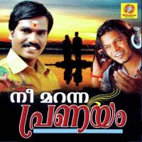 Ninnodu Thoniya Sudheesh Song Download Mp3