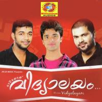 Pranayaveedhi Najmu Song Download Mp3