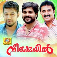 Muhabbathin Salimkodathur Song Download Mp3