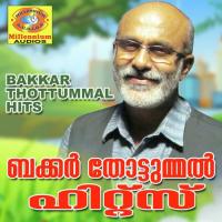 Aminaa Bakkar Thottummal Song Download Mp3