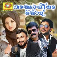 Ammayide Molenaku Nizar Wynad Song Download Mp3