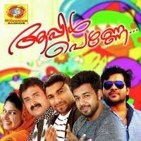 Thullimazhayathu Kannur Shareef Song Download Mp3