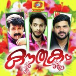 Vallathe Novichu Ashkar Perinkary Song Download Mp3