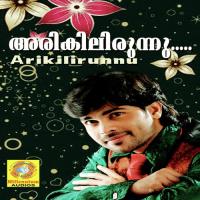 Nenjile Aravana Arfad Song Download Mp3