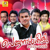 Perunnalkili Mehrin,Riyana Rameez Song Download Mp3