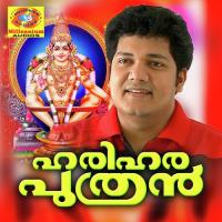 Palazhi Biju Narayanan Song Download Mp3