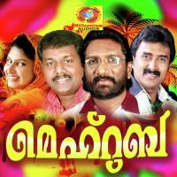 Aalangalkellam Thajudheen Song Download Mp3