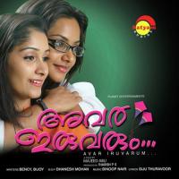 Randukannum (Female Version) Sithara Nair Song Download Mp3