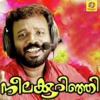 Mannum Ponnum Pradeep Palluruthy,Joyce Song Download Mp3