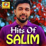 Konji Konji Salim Song Download Mp3