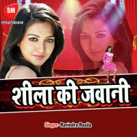 Tatkal Aai Ji Dewara Katle Bare Gaal Awadhesh Premi Song Download Mp3