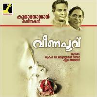 Thirichuvaravu Kallara Ajayan Song Download Mp3