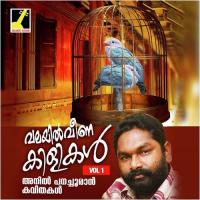 Pulappedi Anil Panachooran Song Download Mp3