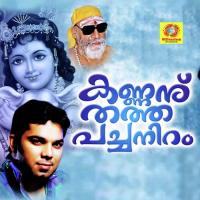 Jaya Jaya Vaikkom Vijayalakshmi Song Download Mp3