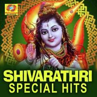 Sukruthakaram Ajay Gopal Song Download Mp3