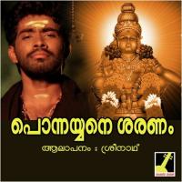 Sastharam Sreenath Nair Song Download Mp3