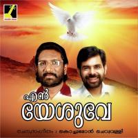 Parannu Njaan Kochumon,Sumi Sunny,Elizabath Raju,Ambily Song Download Mp3