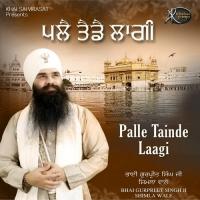 Palle Tainde Laagi Gurpreet Singh Shimla Wale Song Download Mp3