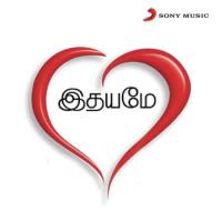 Ethaiyum Veeramanidasan Song Download Mp3