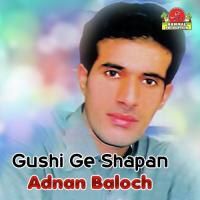 Maha Rangi Pari Adnan Baloch Song Download Mp3