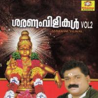 Swamiyeey Saranamayyappo Padanilam Babu Song Download Mp3