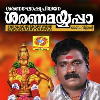 Swami Thinthakathom Padanilam Babu Song Download Mp3