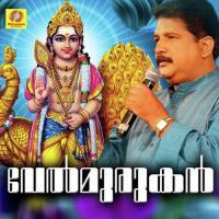 Valli Manavaalan Chengannur Sreekumar Song Download Mp3