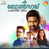 Chellam Cholli Sreya Jayadeep Song Download Mp3