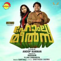 Homely Meals Sarthaj,Vipin Atley Song Download Mp3