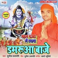 Damruaa Baje Sunil Prajapati Song Download Mp3