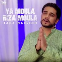 Ya Moula Riza Moula Taha Narsinh Song Download Mp3