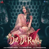 Dil DI Rani Natasha Trikha Song Download Mp3