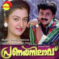 Kaadu Bharikkum Baby Hima Song Download Mp3