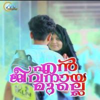 Enn Jeevanaaya Mulle Ansar Ansu Song Download Mp3