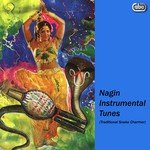 Nagin Instrumental Tune 5 Various Indian Instrumentalists Song Download Mp3