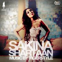 Shartaan (Instrumental) Sakina Song Download Mp3