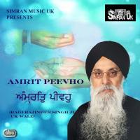 Je Gur Jhidke Ta Mitha Lage Ragi Rajinder Singh Ji UK Wale Song Download Mp3