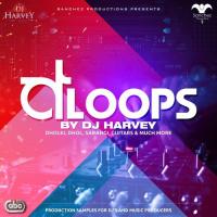 D Loops - Sarangi 2 (96 BPM) Dj Harvey Song Download Mp3