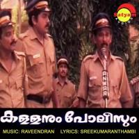 Pinneyum Paadiyo (Male Version) K. S. Chithra Song Download Mp3