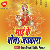 Maai Kaise Kari Hum Bidai Ho Prince Piya Song Download Mp3