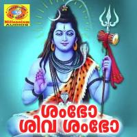 Sankarane Paradeep Palluruthi,Durga Vishwanadh Song Download Mp3