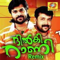 Pookkalam Vannallo Shafi Song Download Mp3