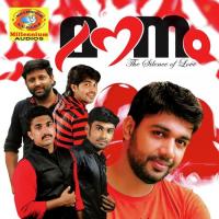 Niramizhiyil Nasim Song Download Mp3