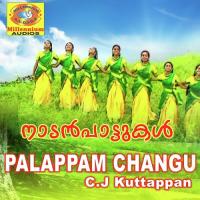 Ketto Kalabhavan Mani Song Download Mp3