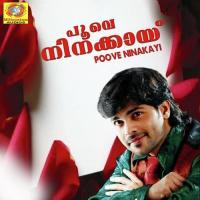 Asichapennale Nee Shafi Kollam Song Download Mp3