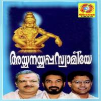 Kadalezhum Thandi Biju Narayanan Song Download Mp3