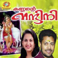 Nhanarinhilya Mithila Song Download Mp3